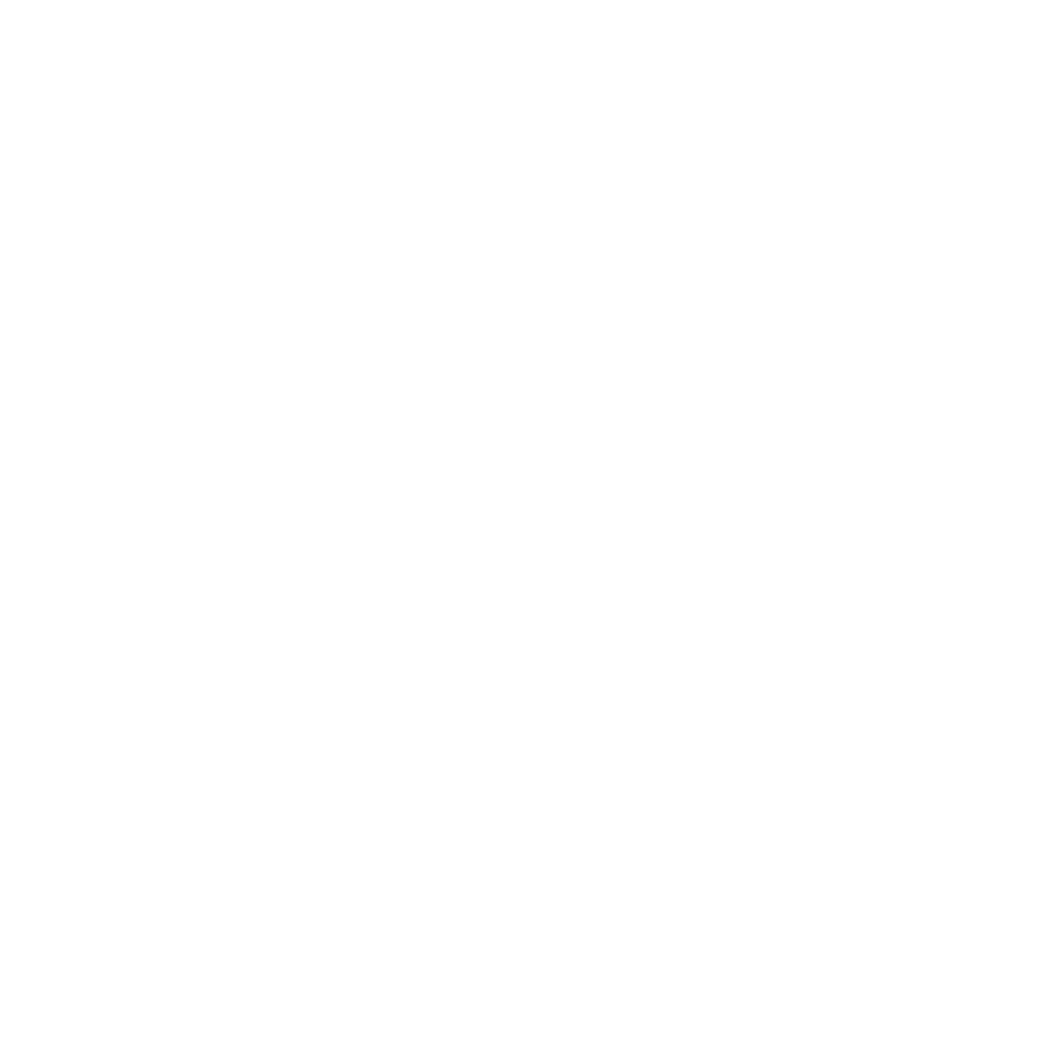 BDS Suspension Logo